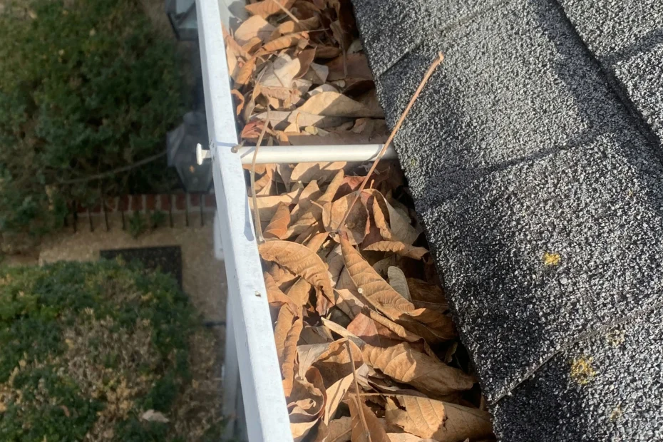 Gutter Cleaning Isle of Wight